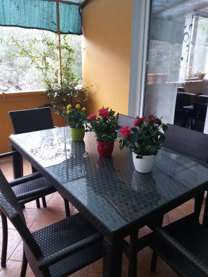 Lucica Apartament *