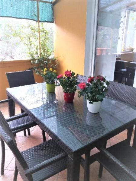 Apartament Lucica *